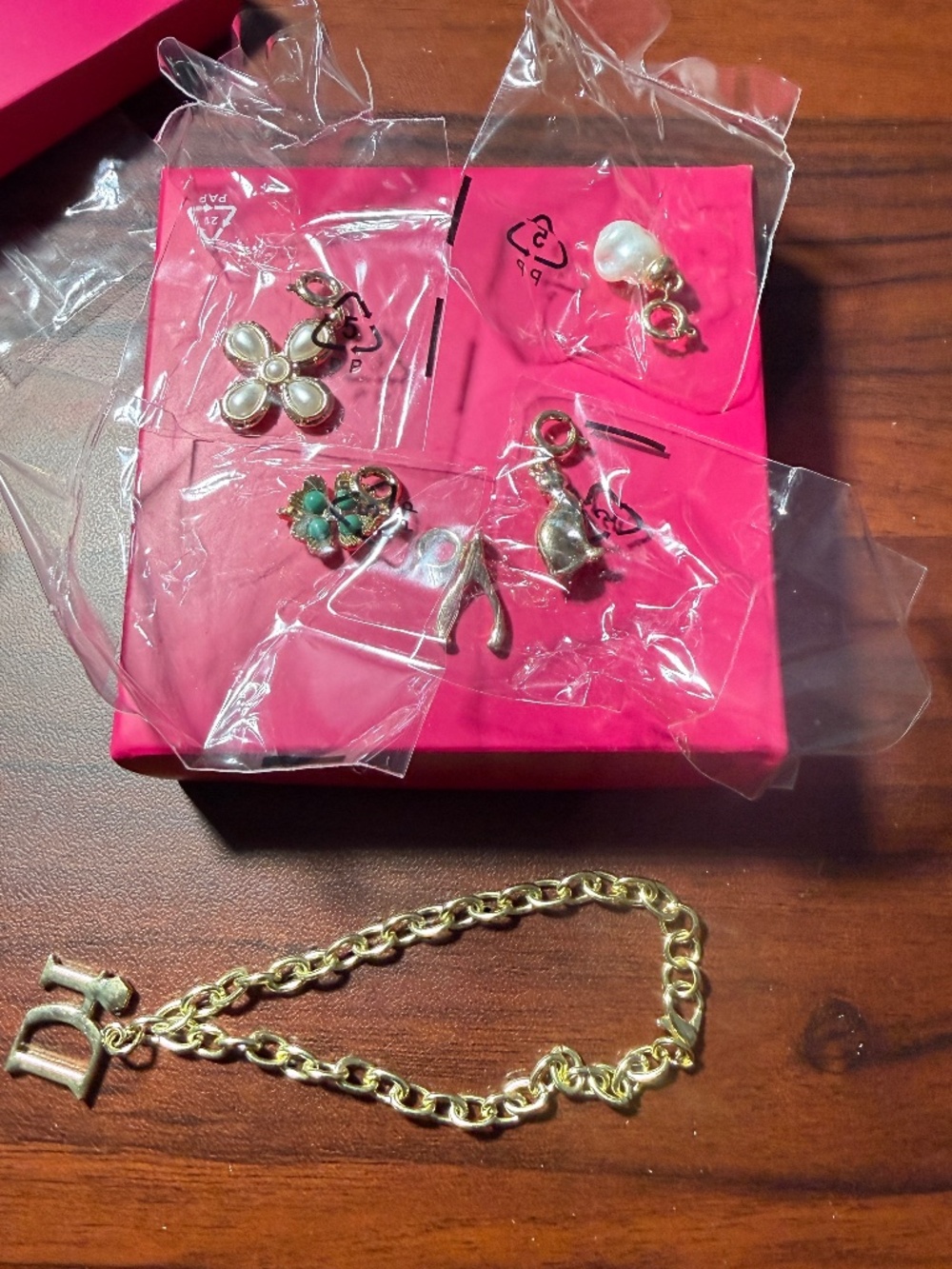 Charm bracelet and jewelry